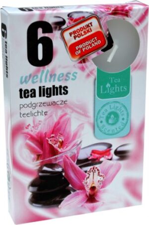 Tealights Perfumados Wellness (45un)